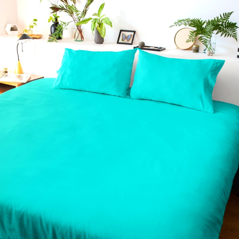 COPY - Bedsheet Set Euro Concept Super Soft & Wrinkle Free Queen